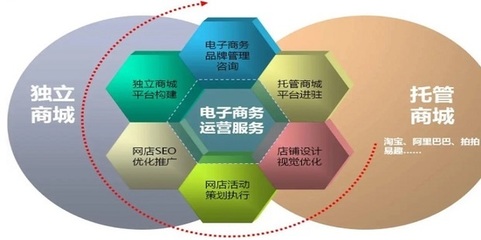 电子商务网站与平台的全面推广与精细化运营策略