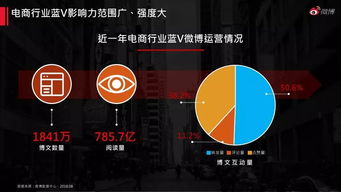 2018年电子商务平台运营 数据驱动下的新格局与核心策略